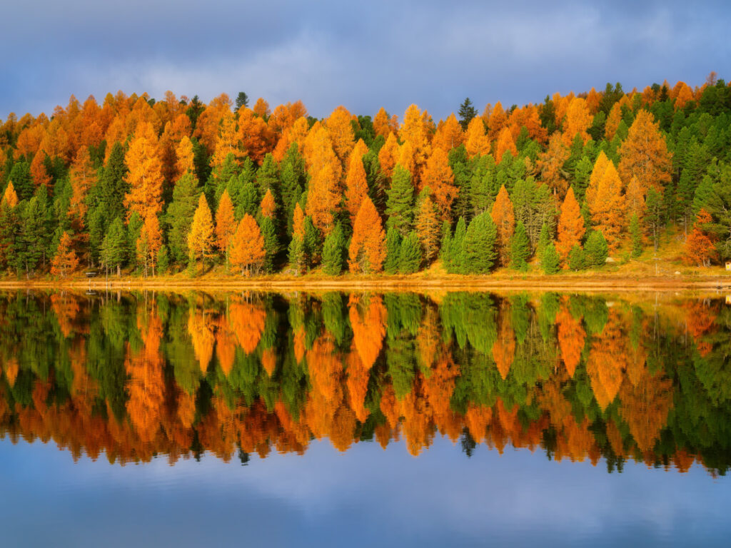 shutterstock_2669055715_web